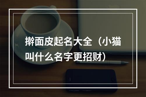 擀面皮起名大全（小猫叫什么名字更招财）