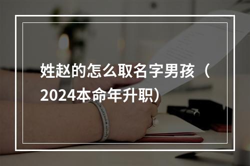 姓赵的怎么取名字男孩（2024本命年升职）