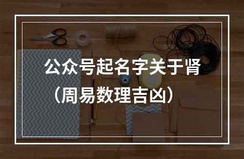 公众号起名字关于肾（周易数理吉凶）