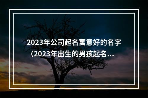 2023年公司起名寓意好的名字（2023年出生的男孩起名单字）