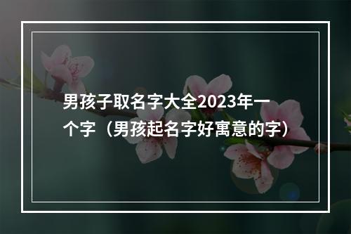 男孩子取名字大全2023年一个字（男孩起名字好寓意的字）