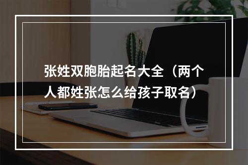 张姓双胞胎起名大全（两个人都姓张怎么给孩子取名）