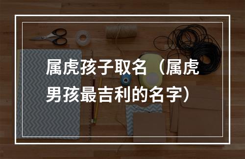 属虎孩子取名（属虎男孩最吉利的名字）