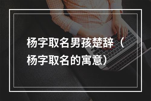 杨字取名男孩楚辞（杨字取名的寓意）