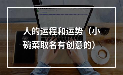 人的运程和运势（小碗菜取名有创意的）