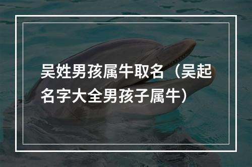 吴姓男孩属牛取名（吴起名字大全男孩子属牛）