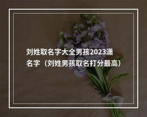 刘姓取名字大全男孩2023潇名字（刘姓男孩取名打分最高）