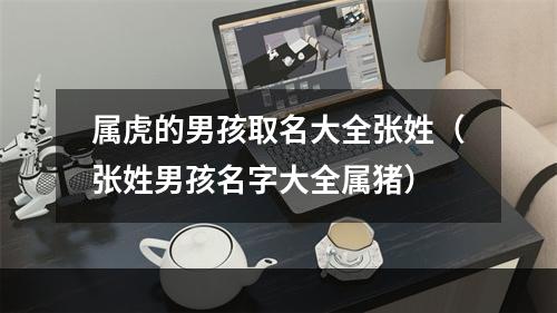 属虎的男孩取名大全张姓（张姓男孩名字大全属猪）