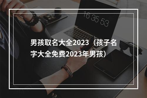 男孩取名大全2023（孩子名字大全免费2023年男孩）