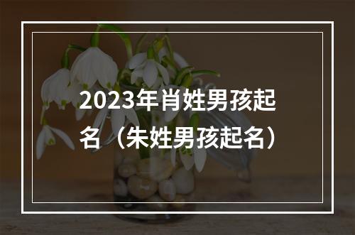 2023年肖姓男孩起名（朱姓男孩起名）
