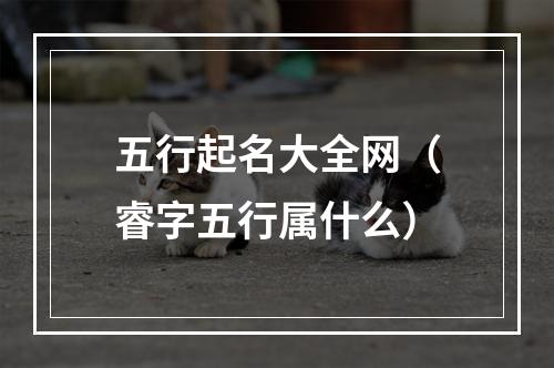五行起名大全网（睿字五行属什么）