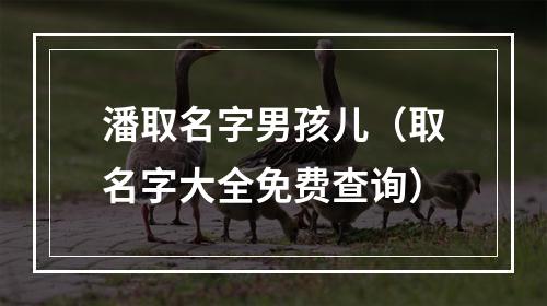 潘取名字男孩儿（取名字大全免费查询）