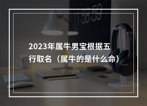 2023年属牛男宝根据五行取名（属牛的是什么命）