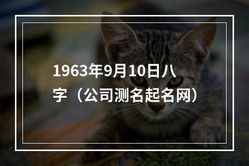 1963年9月10日八字（公司测名起名网）