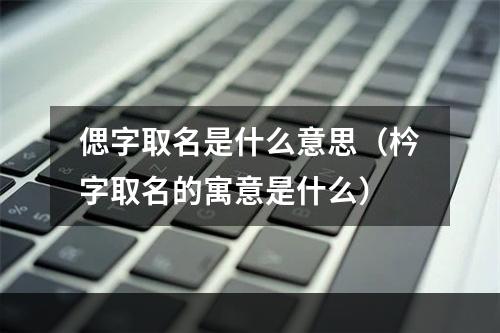 偲字取名是什么意思（枔字取名的寓意是什么）