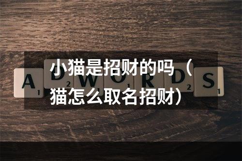小猫是招财的吗（猫怎么取名招财）