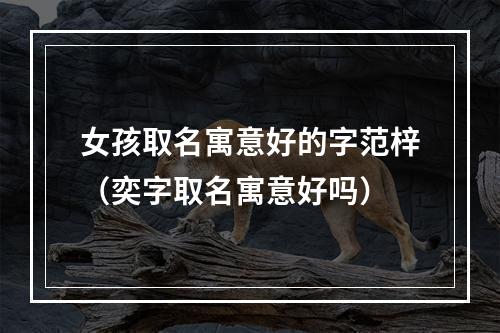 女孩取名寓意好的字范梓（奕字取名寓意好吗）