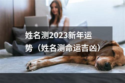 姓名测2023新年运势（姓名测命运吉凶）