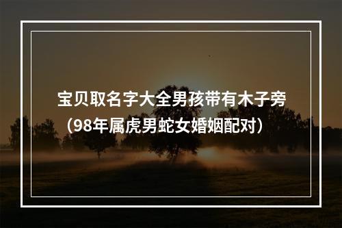 宝贝取名字大全男孩带有木子旁（98年属虎男蛇女婚姻配对）