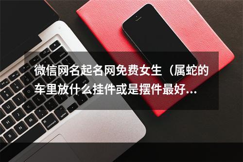 微信网名起名网免费女生（属蛇的车里放什么挂件或是摆件最好呢）