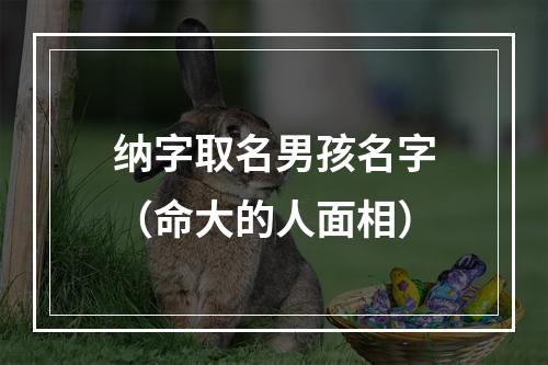 纳字取名男孩名字（命大的人面相）