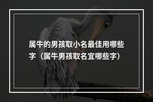 属牛的男孩取小名最佳用哪些字（属牛男孩取名宜哪些字）