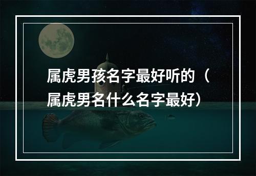 属虎男孩名字最好听的（属虎男名什么名字最好）