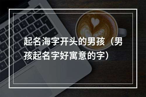 起名海字开头的男孩（男孩起名字好寓意的字）