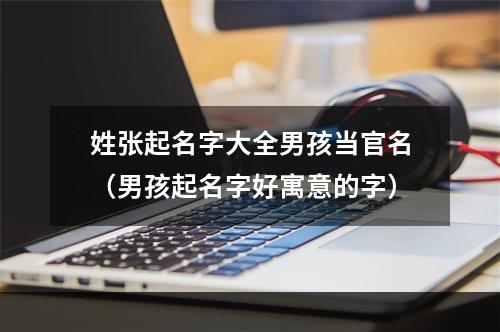 姓张起名字大全男孩当官名（男孩起名字好寓意的字）