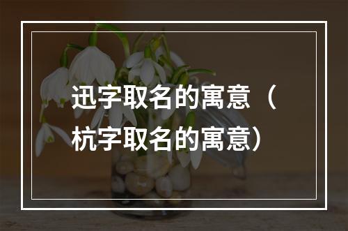 迅字取名的寓意（杭字取名的寓意）