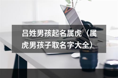 吕姓男孩起名属虎（属虎男孩子取名字大全）