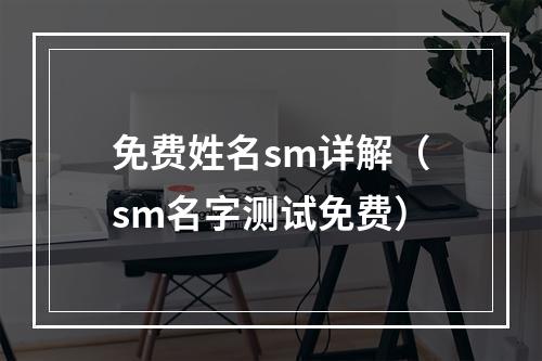 免费姓名sm详解（sm名字测试免费）