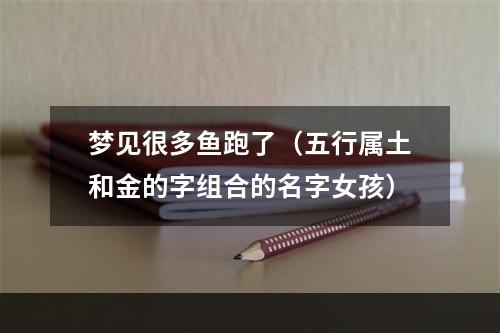 梦见很多鱼跑了（五行属土和金的字组合的名字女孩）