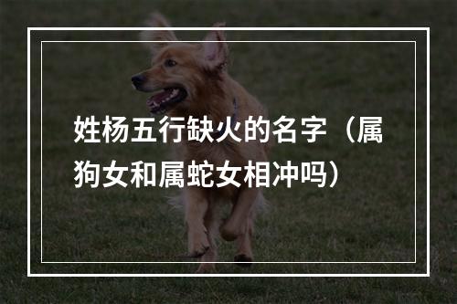 姓杨五行缺火的名字（属狗女和属蛇女相冲吗）