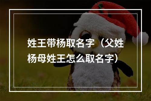 姓王带杨取名字（父姓杨母姓王怎么取名字）