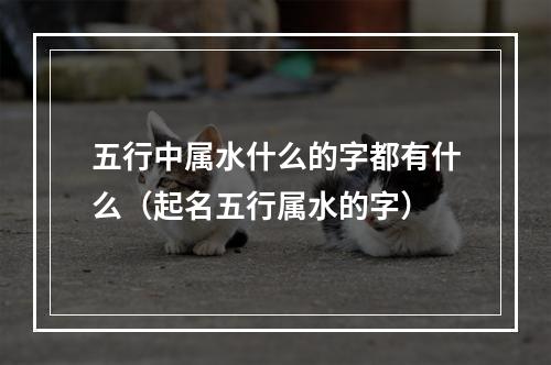 五行中属水什么的字都有什么（起名五行属水的字）
