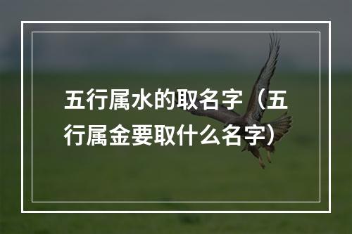 五行属水的取名字（五行属金要取什么名字）