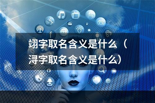 翊字取名含义是什么（浔字取名含义是什么）