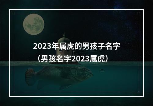 2023年属虎的男孩子名字（男孩名字2023属虎）