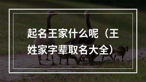 起名王家什么呢（王姓家字辈取名大全）
