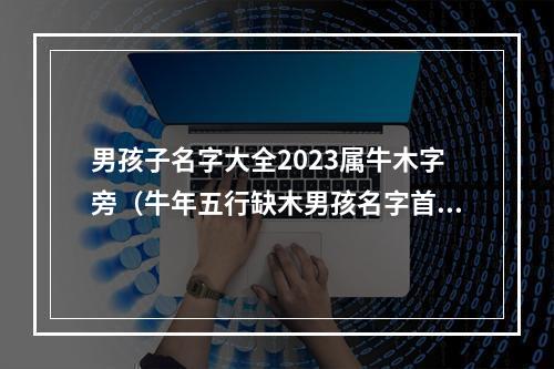 男孩子名字大全2023属牛木字旁（牛年五行缺木男孩名字首选）