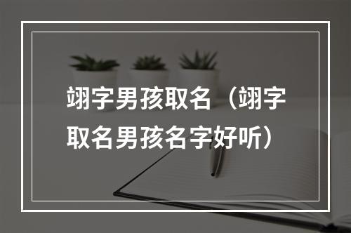 翊字男孩取名（翊字取名男孩名字好听）
