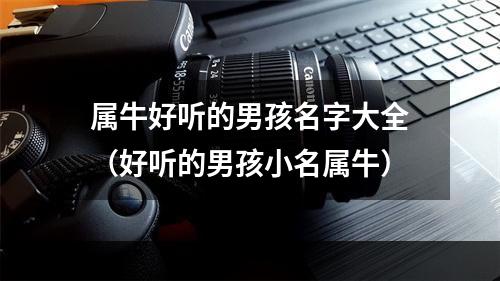 属牛好听的男孩名字大全（好听的男孩小名属牛）