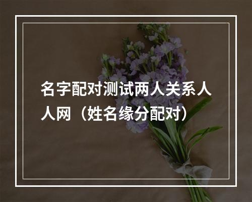 名字配对测试两人关系人人网（姓名缘分配对）