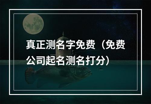 真正测名字免费（免费公司起名测名打分）
