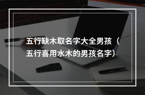 五行缺木取名字大全男孩（五行喜用水木的男孩名字）