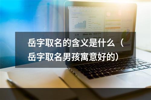 岳字取名的含义是什么（岳字取名男孩寓意好的）