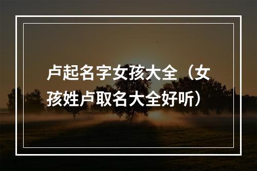卢起名字女孩大全（女孩姓卢取名大全好听）