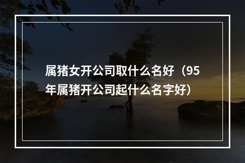 属猪女开公司取什么名好（95年属猪开公司起什么名字好）