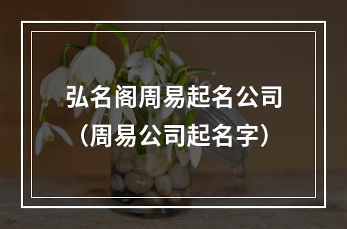 弘名阁周易起名公司（周易公司起名字）